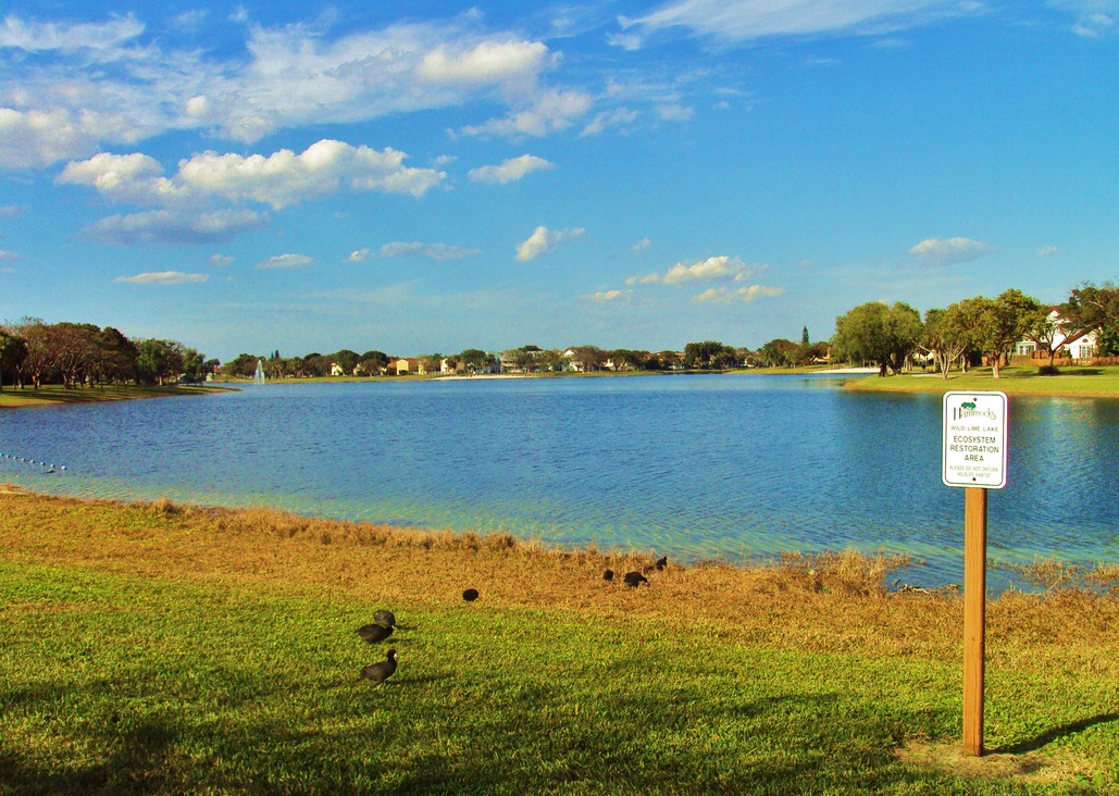 Fast & Easy Online Loans in The Hammocks, FL - Get Money Today